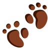 Footprint buff icon