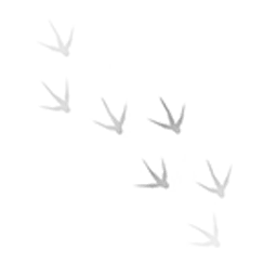 File:BTD6 editor Stamp67.png