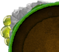 Level select icon in the mobile version