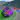 Spike Storm!