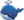 Adventure Whale
