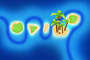 Spice Islands