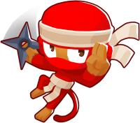 Portrait of Ninja Discipline