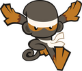 Seeking Shuriken