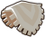 White Poncho