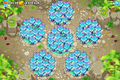 Maximum Mermonkey placements within water (72)