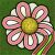 Daisy Track icon