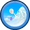 Image ofWhite Bloon