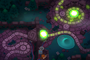Ancient Portal