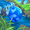 Image ofCamo Blue Bloon