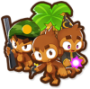 Icon of Life Experience