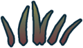 Thumbnail for version as of 17:28, 2 August 2024