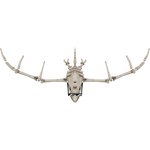 File:BSM2M radadactyl02 render.png