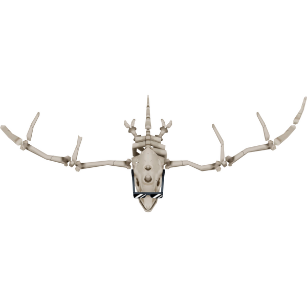 File:BSM2M radadactyl01 render.png