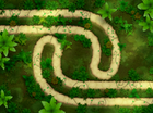 Jungle