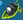 Pirate ZOMG