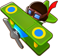 Portrait of Spy Plane