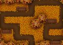 Autumn Leaves