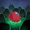 Image ofReinflated