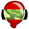 Upgrade icon