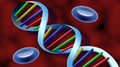 Thumbnail for version as of 21:28, 22 November 2024