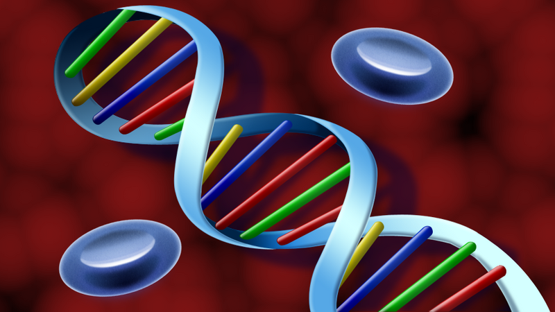File:BTD4A dna test.png