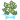 Flashing Cash