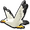 Image ofSoaring Seagull