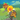 Strike Bloon