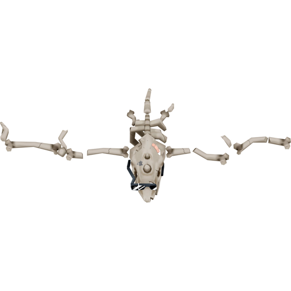 File:BSM2M radadactyl05 render.png