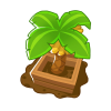 Banana Farm