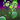 Necromancer