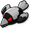 Image ofMagpie DDT