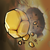 Rock Bloon