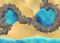 Thumbnail for version as of 06:39, 25 August 2024