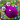 Intense Bloon Rounds