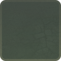 Thumbnail for version as of 17:31, 2 August 2024