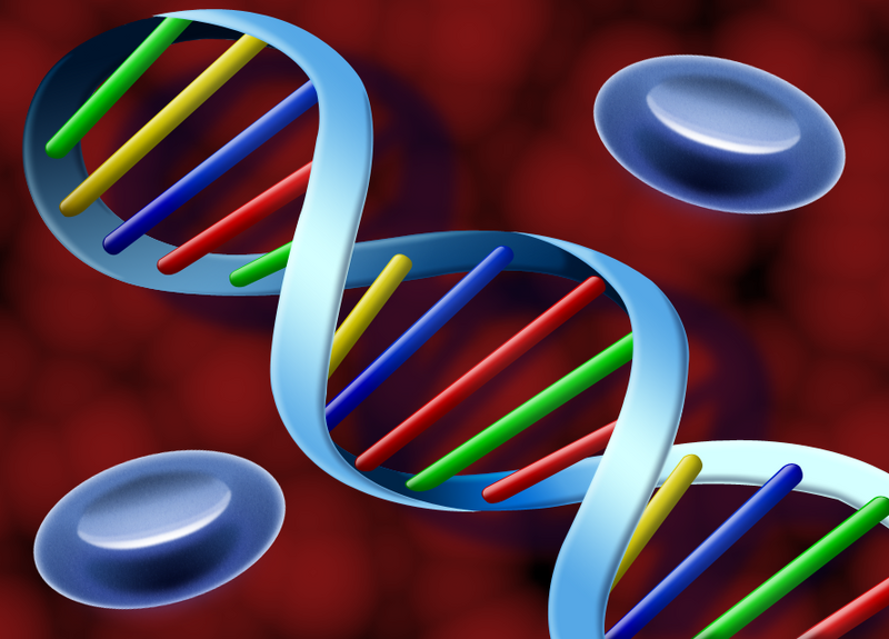 File:BTD4HD Dna Test.png