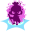 Icon of Dramatic Entrance