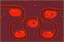 Thumbnail of Lava Pools