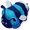Image ofMOAB Bee