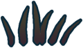 Thumbnail for version as of 17:28, 2 August 2024