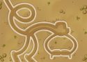 Nazca Lines