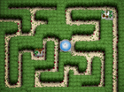 Maze
