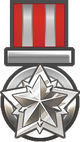 Solo Mastery Silver medal image
