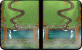 Salmon Ladder