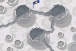 Moon Landing