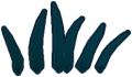 Thumbnail for version as of 17:28, 2 August 2024