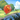 Rang Bloon