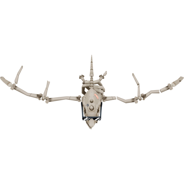 File:BSM2M radadactyl03 render.png